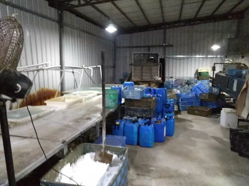 龙溪夜间突查处无牌证金属制品厂，交警依法暂扣涉案车辆